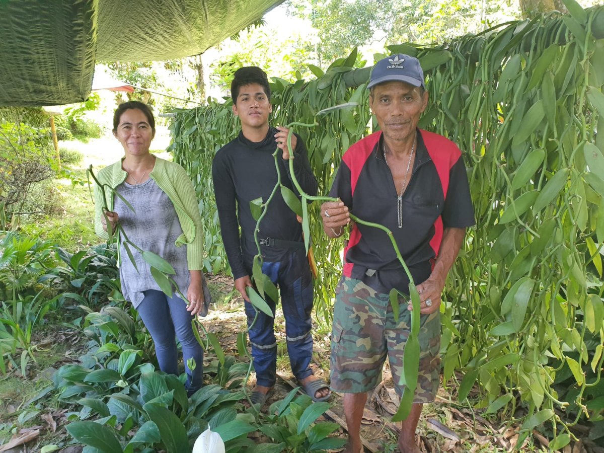 Southern Philippines farms underway!